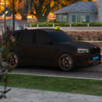 Taxi – BMW X5